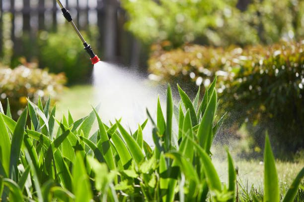 Tamper-Resistant Bait Stations for Rodents in Gautier