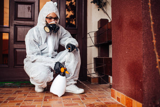 Attic and Crawl Space Rodent Treatment in Gautier